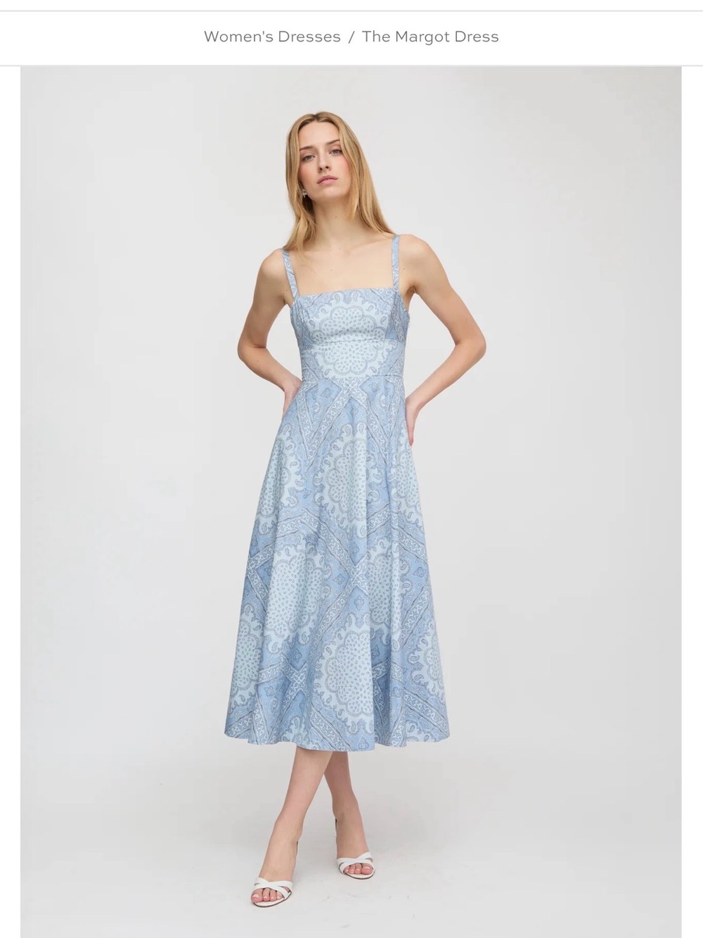 Light Blue Paisley Midi Dress - The Margot Dress